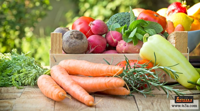 d8a3d8b7d8b9d985d8a9-d8aad982d984d98ad984-d986d985d988-d8a7d984d8b4d8b9d8b1-d8a3d987d985-d8a3d8b7d8b9d985d8a9-d8aad982d984d98ad984-d986d985d988-d8a7d984d8b4d8b9d8b1 أطعمة تقليل نمو الشعر أهم أطعمة تقليل نمو الشعر