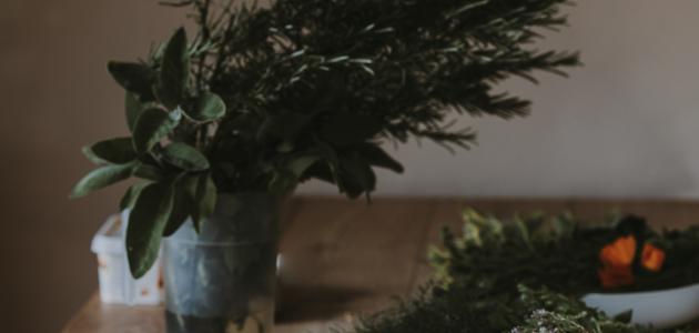 أعشاب لعلاج عسر الهضم أعشاب لعلاج عسر الهضم