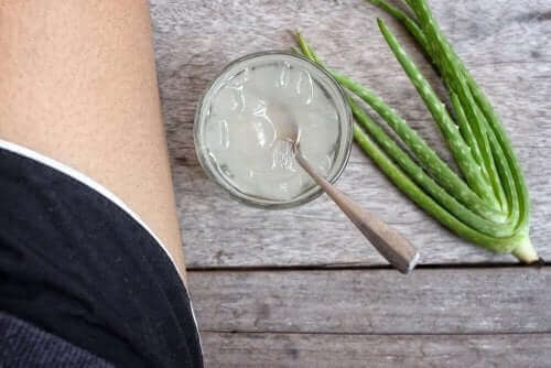 d8a3d984d988d8a9-d981d98ad8b1d8a7 جل الألوة فيرا