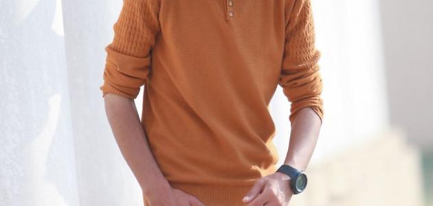 أين يقع الكبد والبنكرياس أين يقع الكبد والبنكرياس