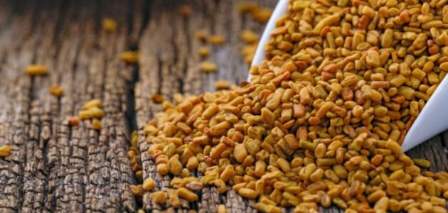 اضرار الحلبه للحامل اضرار الحلبه للحامل