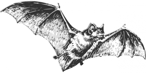 d8a7d984d8aed981d8a7d981d98ad8b4-1