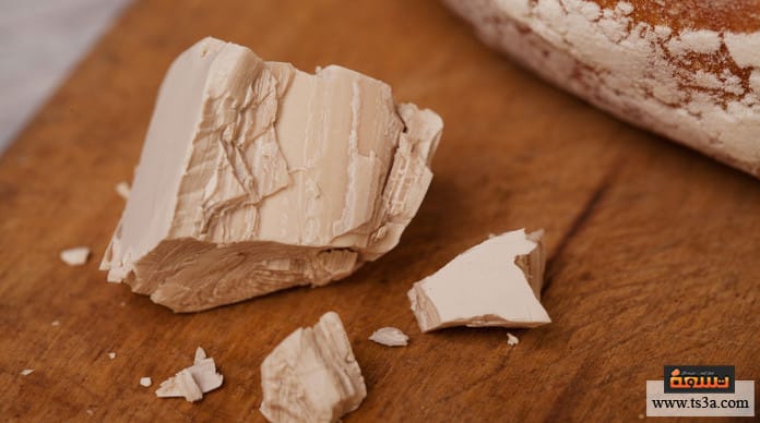 d8a7d984d8aed985d98ad8b1d8a9-d8a7d984d986d8b4d8b7d8a9-d981d988d8a7d8a6d8af-d8a7d984d8aed985d98ad8b1d8a9-d984d984d8acd8b3d985 الخميرة النشطة فوائد الخميرة للجسم