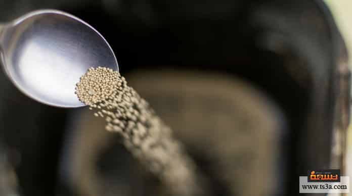 d8a7d984d8aed985d98ad8b1d8a9-d8a7d984d986d8b4d8b7d8a9-d981d988d8a7d8a6d8af-d8a7d984d8aed985d98ad8b1d8a9-d984d984d8b4d8b9d8b1 الخميرة النشطة فوائد الخميرة للشعر