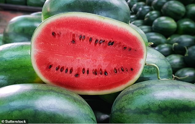 d8a7d984d982d8afd985d8a7d8a1-d8a7d984d985d8b5d8b1d98ad98ad986-4