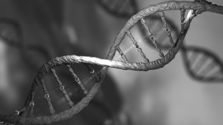 d8add985d8b6-d986d988d988d98a حمض نووي