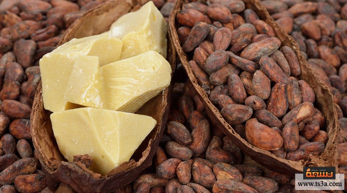 d8b2d8a8d8afd8a9-d8a7d984d983d8a7d983d8a7d988-d985d8a7-d987d988-d8a8d8afd98ad984-d8b2d8a8d8afd8a9-d8a7d984d983d8a7d983d8a7d988d89f زبدة الكاكاو ما هو بديل زبدة الكاكاو؟
