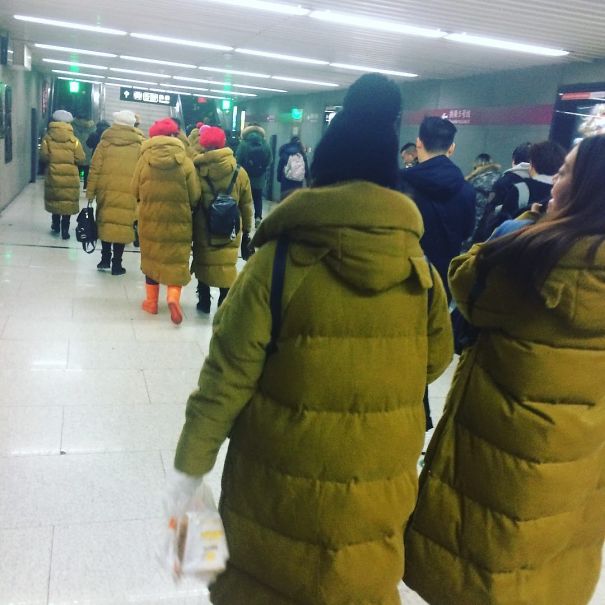 d8b5d8afd981d8a9-28 صدفة