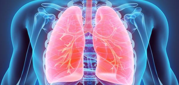 طريقة علاج النزلة الشعبية طريقة علاج النزلة الشعبية