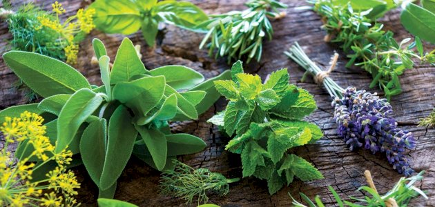 علاج زيادة ونقصان صبغة الميلانين بالأعشاب: حقيقة أم خرافة قد تضرك؟