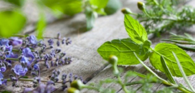 علاج متلازمة غيلان باريه بالأعشاب: حقيقة أم خرافة قد تضرك؟