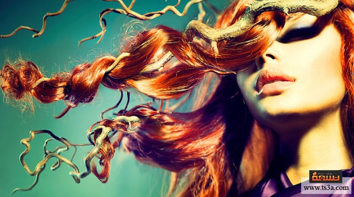 فوائد القرنفل فوائد القرنفل للشعر