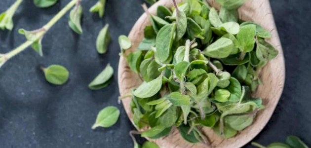 فوائد البردقوش لتكيس المبايض: فوائد مزعومة أم صحيحة علميًّا؟