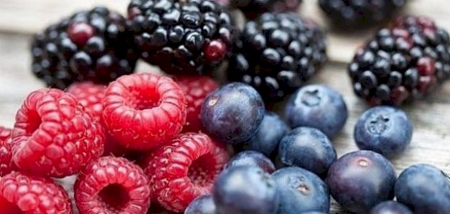 فوائد التوت البري لالتهاب المسالك: فوائد مزعومة أم صحيحة علميًّا؟