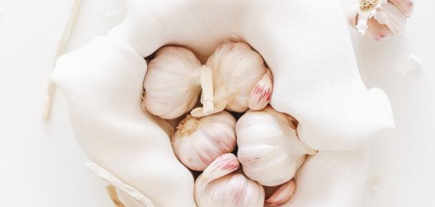 فوائد الثوم مع الحليب فوائد الثوم مع الحليب