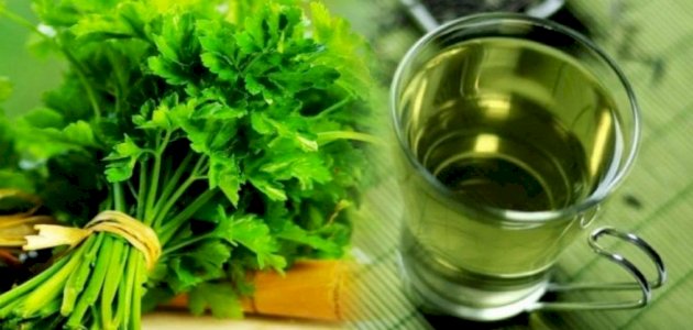 فوائد مغلي البقدونس للكلى: فوائد مزعومة أم صحيحة علميًّا؟ فوائد مغلي البقدونس للكلى: فوائد مزعومة أم صحيحة علميًّا؟