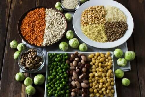 مصادر البروتين