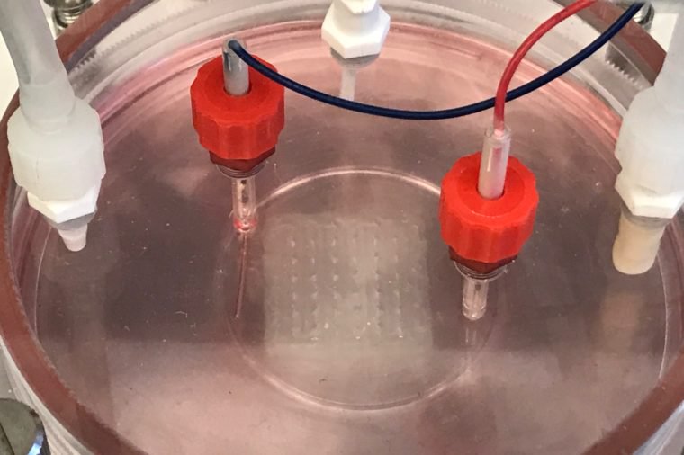 d986d8b3d98ad8ac-d982d984d8a8 نسيج قلب