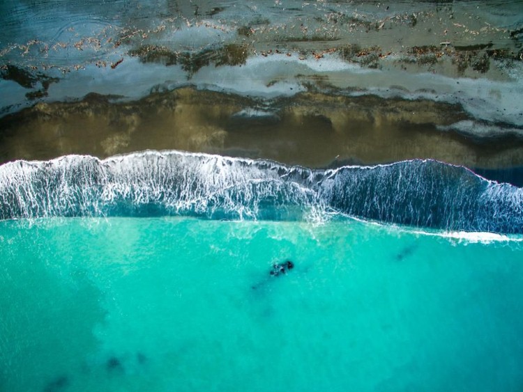 d986d98ad988d8b2d98ad984d8a7d986d8afd8a7 نيوزيلاندا