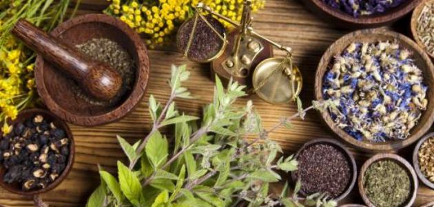 هل يوجد علاج لارتفاع البوتاسيوم بالأعشاب؟ وما رأي العلم؟