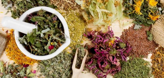 هل يوجد علاج لعلاج حساسية الأنف المزمنة بالأعشاب؟ وما رأي العلم؟ هل يوجد علاج لعلاج حساسية الأنف المزمنة بالأعشاب؟ وما رأي العلم؟