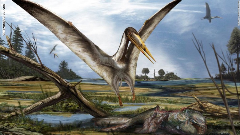 بلد عربي كان يضم أخطر منطقة بتاريخ كوكب الأرض قبل 100 مليون عام..ما هو؟ بلد عربي كان يضم أخطر منطقة بتاريخ كوكب الأرض قبل 100 مليون عام..ما هو؟