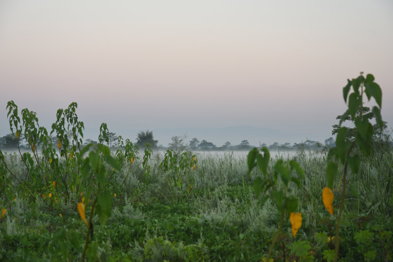 dsc_3465_slide-a10c0747a60d51e4a08b76cee7a0776b7dee3fb4-s800-c85