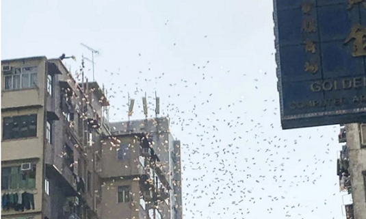 e926e0e5-b64d-495b-aed9-c9a3af2f9266