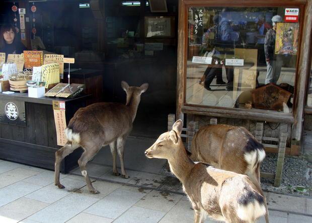 edd3b7ea-8ace-4bcb-a871-701e35c6ade0 ÙØªÙجة Ø¨ØØ« Ø§ÙØµÙر ع٠اجÙ
Ù Ù
Ø¯Ù ÙØ§Ø¨Ø§Ù