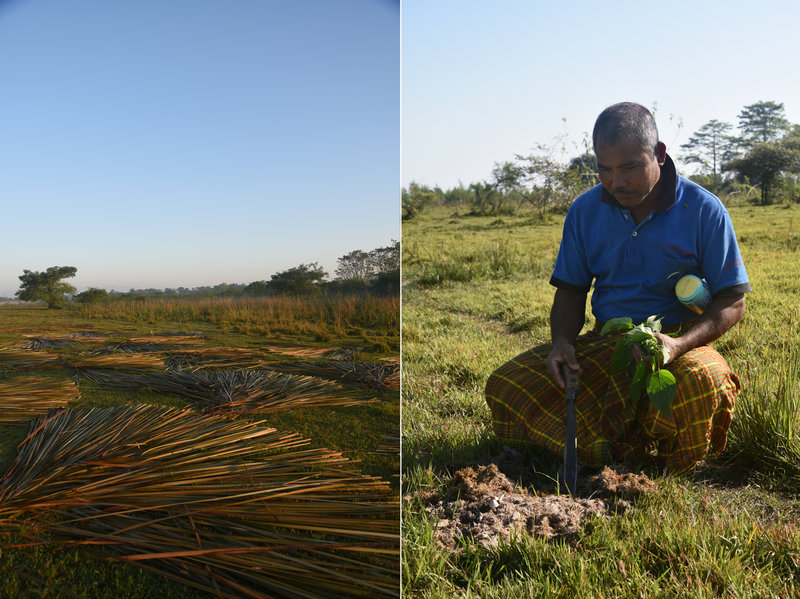 forest-man-composite-2_custom-f18cc4e5ef67fd447eb44660a4d296a7766de8f8-s800-c85