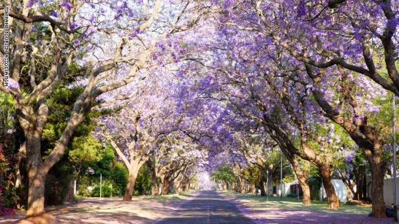 أجمل الشوارع في العالم أجمل الشوارع في العالم