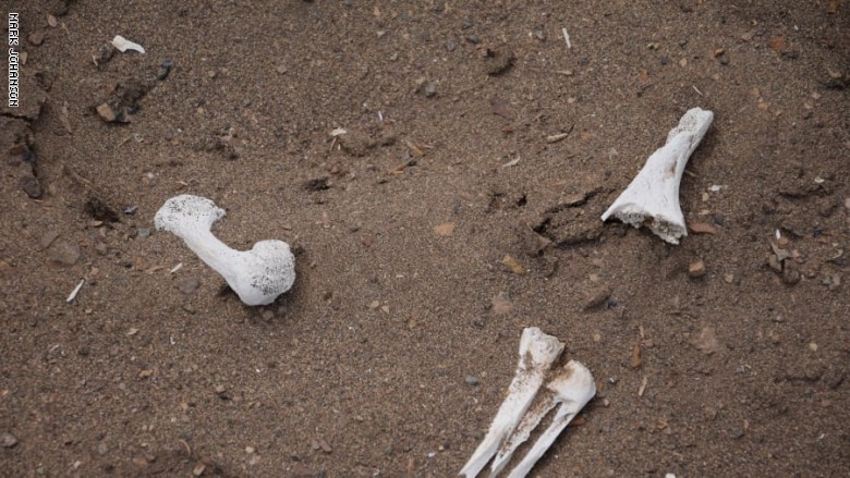 المومياوات المومياوات