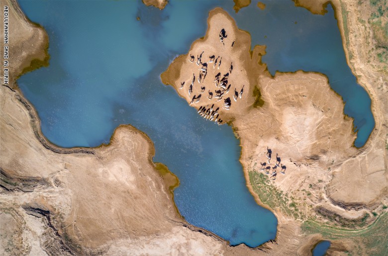 img_572720copy Ù
ØµÙØ± Ø³Ø¹ÙØ¯Ù ÙÙØªÙØ· ØµÙØ±Ø© أثارت Ø§ÙØ§Ø³ØªØ¹Ø¬Ø§Ø¨ ÙØ¥ÙÙÙÙ
Ø³Ø¯ÙØ±