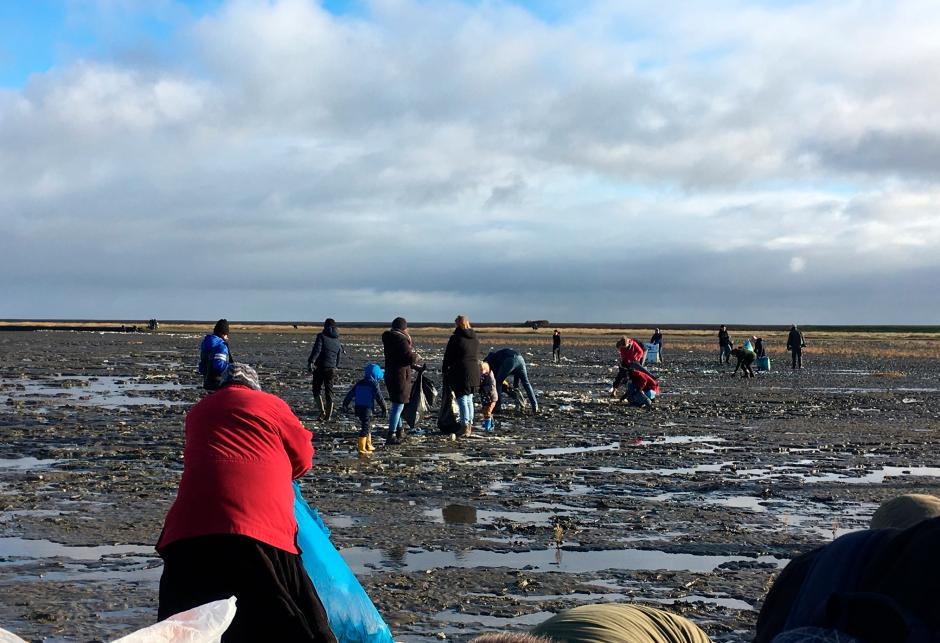 msc-zoe-cargo-ship_-00003