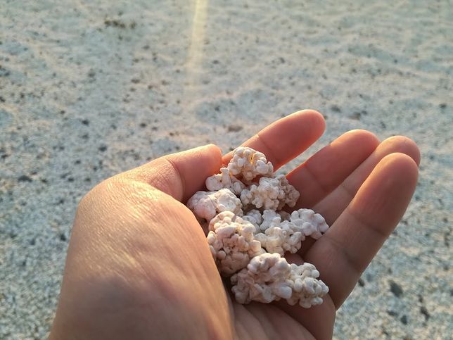 mzk5oti4jbneembifqa1tlmgydbnqz0tbljhjcubfe9ca3znfw18q0yefwx6dxxkxwb4ey9bkagfudkxj0a4caobjsqu