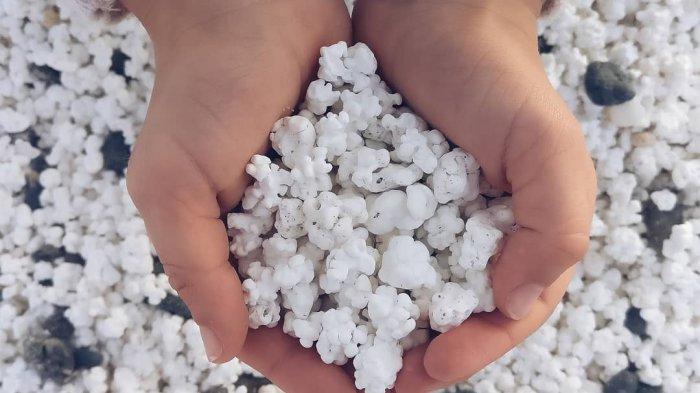 popcorn-beach-13212 Popcorn Beach, Pantai Unik dengan Pasir Mirip Popcorn di Kepulauan Canary Spanyol