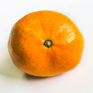 كتلة محسوسة في الثدي كتلة محسوسة في الثدي