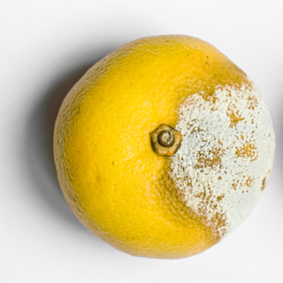 التغييرات الجلدية في الثدي التغييرات الجلدية في الثدي