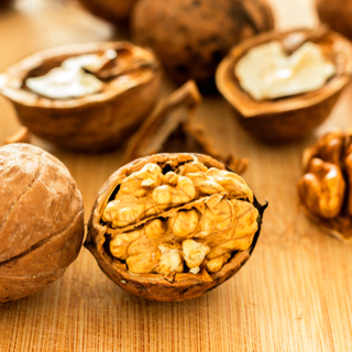 الجوز الإنجليزي أو الفارسي الجوز الإنجليزي أو الفارسي