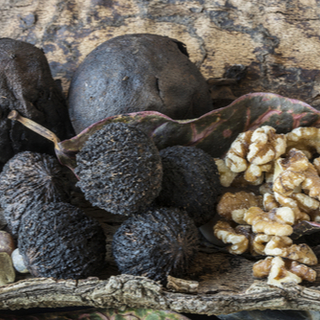 الجوز الأسود الجوز الأسود