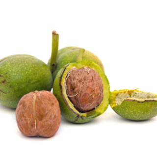 الجوز الأبيض الجوز الأبيض