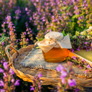 عسل الساج عسل الساج