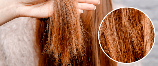 tbl_articles_article_24343_5257bcd1bc4-f8d2-4e2f-a003-c1a622d60348 نصائح لعلاج الشعر التالف