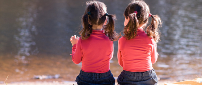 tbl_articles_article_24433_898b64abd6d-287c-4a4b-a3cc-7f770002b166 التوأم من بويضة واحدة: معلومات هامة