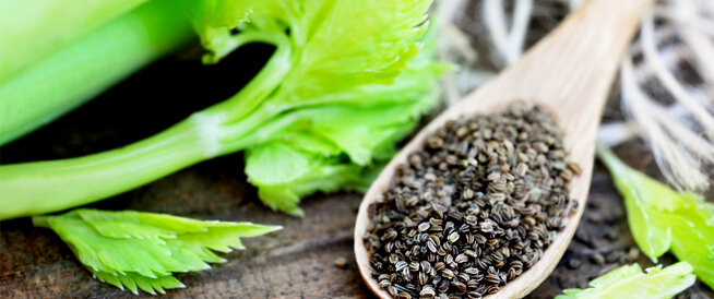 tbl_articles_article_24445_28018975f5b-64c2-4e69-ba8f-6ff484e20bcc أضرار بذور الكرفس