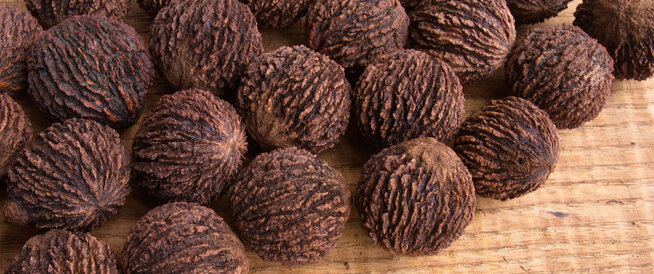 tbl_articles_article_24463_531c7a2af47-be81-4852-b728-26319b9d8e6f الجوز الأسود: نوع مميز من الجوز