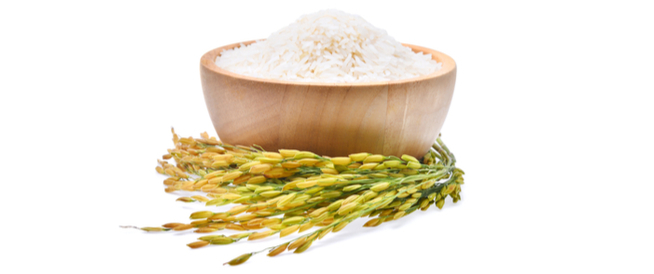 tbl_articles_article_24476_6917b32ffe0-4e20-4de4-97d6-9110742af3c3 أعراض حساسية الأرز عند الرضع