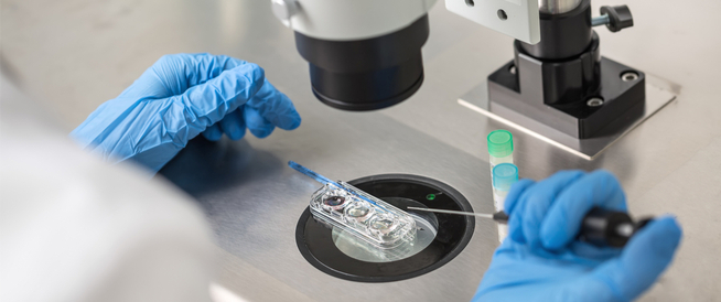 tbl_articles_article_24485_841200a4669-84e5-4c8a-b3f0-34b5c5789070 عملية التلقيح الصناعي: دليلك الشامل