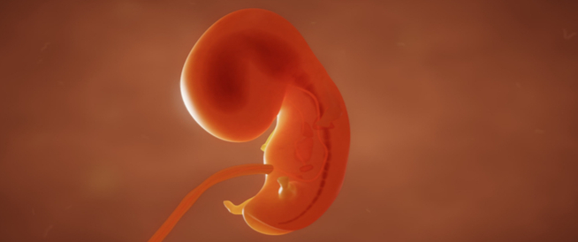 tbl_articles_article_24736_8452d2f0038-d82e-4d4b-9405-c4177fa28744 5 علامات تدل على كبر حجم الجنين