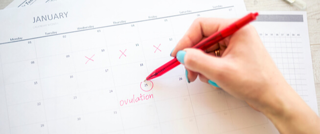 tbl_articles_article_25229_7902f35bc84-3ab8-444d-bc16-ef71de79a596 الأيام التي لا يحدث فيها حمل